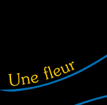 "Les aventures de Solo", spectacle de marionnettes pour enfants en lumi&egrave;re noire